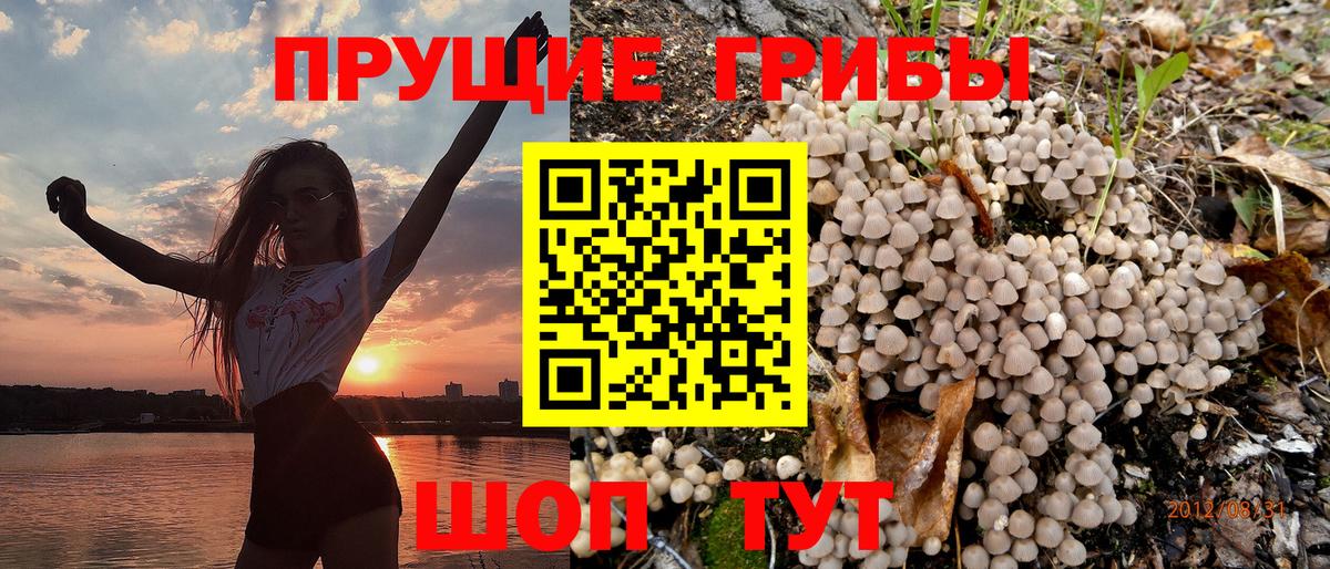 Псилоцибиновые грибы Psilocybe Волжский