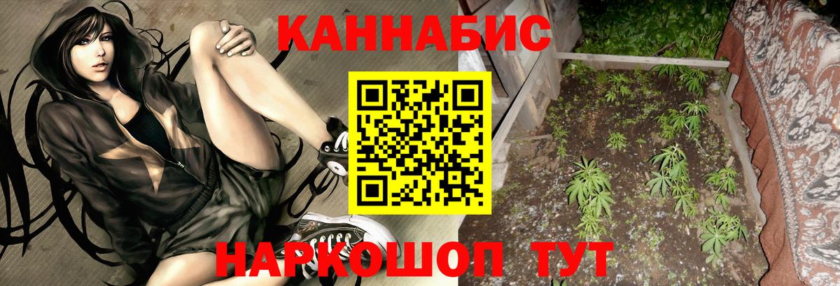 Конопля тримм Волжский